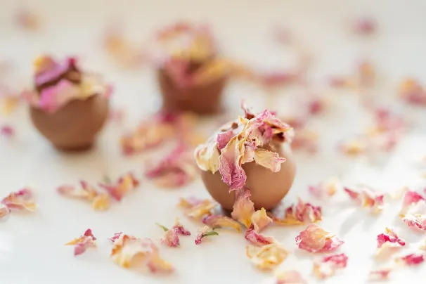 Kasino Sun Palace Android/iOS aplikace